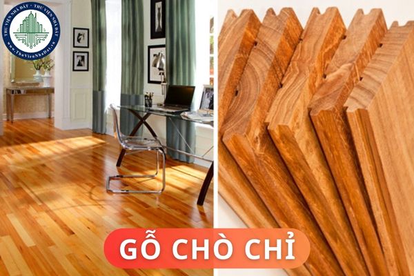 Gỗ chò chỉ có đặc điểm gì? Ứng dụng của gỗ chò chỉ trong nội thất