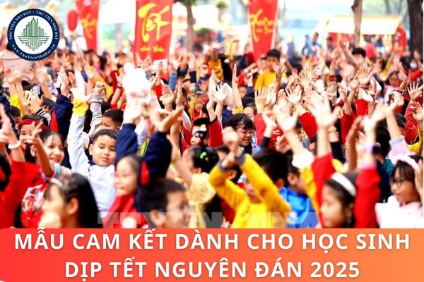 Mẫu cam kết dành cho học sinh dịp Tết Nguyên đán 2025