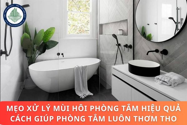 Mẹo xử lý mùi hôi phòng tắm hiệu quả và những cách giúp phòng tắm luôn thơm tho