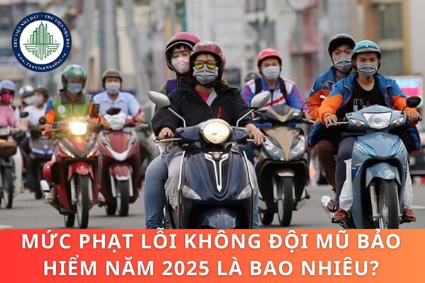 Nghị định 168/2024/NĐ-CP: Mức phạt lỗi không đội mũ bảo hiểm năm 2025 là bao nhiêu?