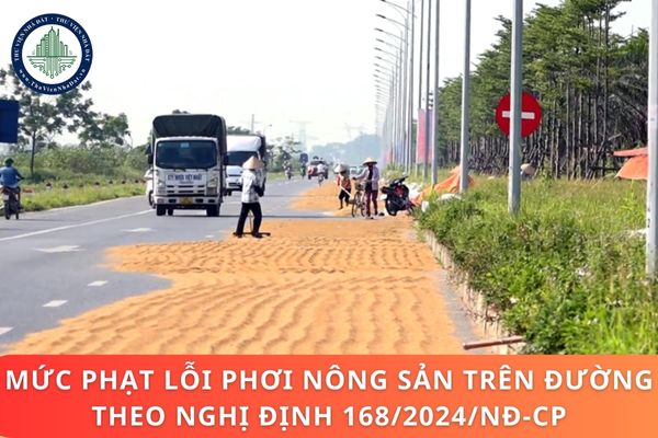 Mức phạt lỗi phơi nông sản trên đường theo Nghị định 168/2024