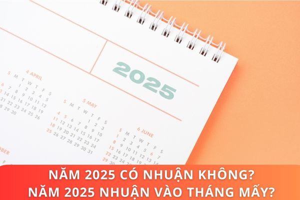 Năm 2025 có nhuận không? Năm 2025 nhuận vào tháng mấy? Năm 2025 người lao động được nghỉ những ngày lễ, tết nào? 