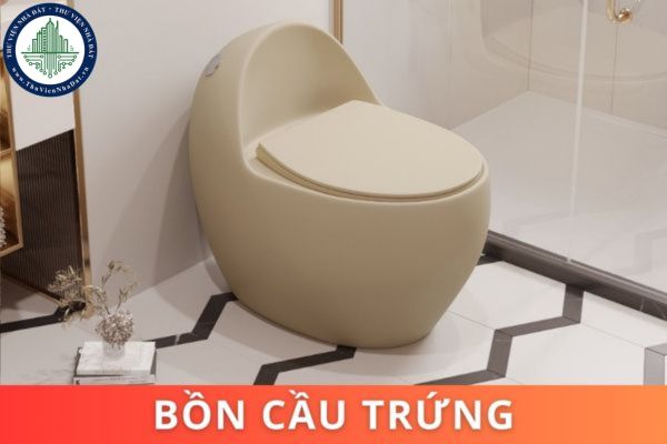 Bồn cầu trứng là gì? Ưu và nhược điểm khi sử dụng bồn cầu trứng?