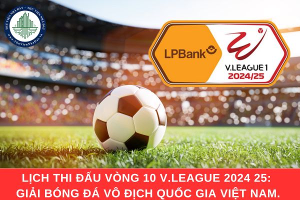 Lịch thi đấu vòng 10 V.League 2024 25: Giải bóng đá vô địch quốc gia Việt Nam