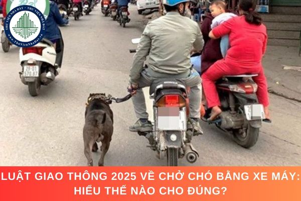 Luật Giao thông 2025 về chở chó bằng xe máy: Hiểu thế nào cho đúng?