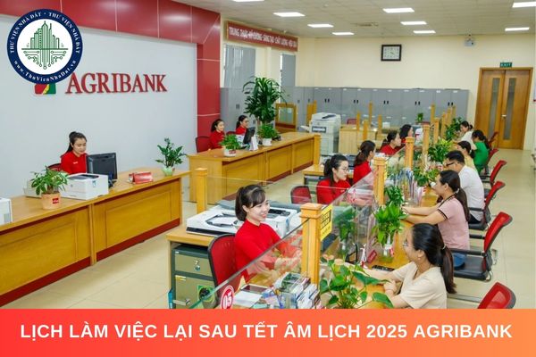 Lịch làm việc lại sau Tết Âm lịch 2025 ngân hàng Agribank