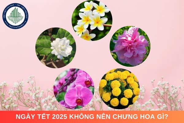 Ngày Tết 2025 không nên chưng hoa gì?