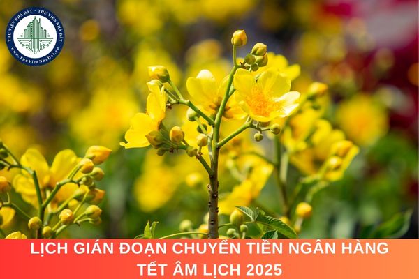 Lịch gián đoạn chuyển tiền ngân hàng Tết Âm lịch 2025