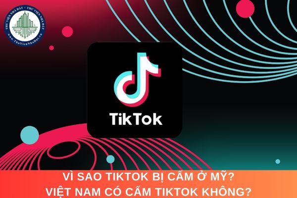 Vì sao Tiktok bị cấm ở Mỹ? Việt Nam có cấm Tiktok không?