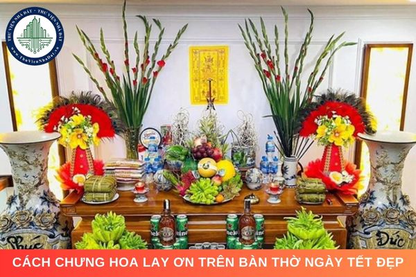 Ý nghĩa hoa lay ơn và cách chưng hoa lay ơn trên bàn thờ ngày Tết đẹp