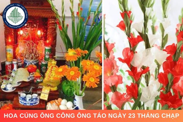 Hoa cúng ông Công ông Táo ngày 23 tháng Chạp: Nên và không nên cúng hoa gì?