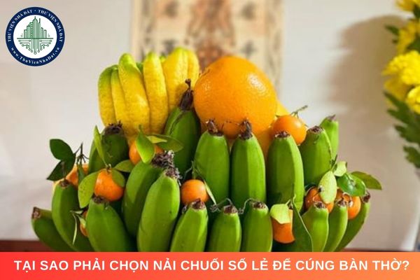 Tại sao phải chọn nải chuối số lẻ để cúng bàn thờ?