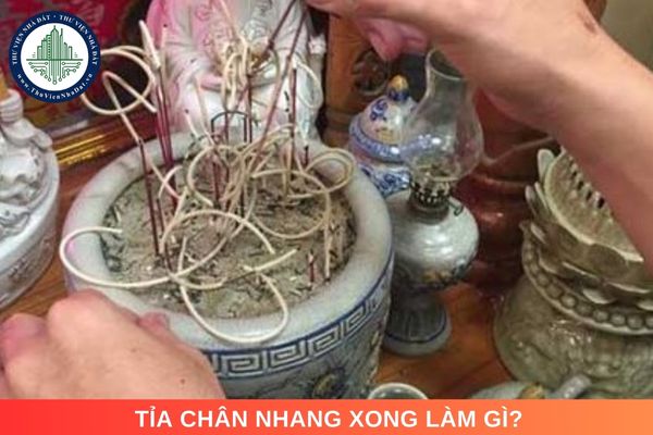 Tỉa chân nhang xong làm gì? Quy trình tỉa chân nhang và lau dọn bàn thờ