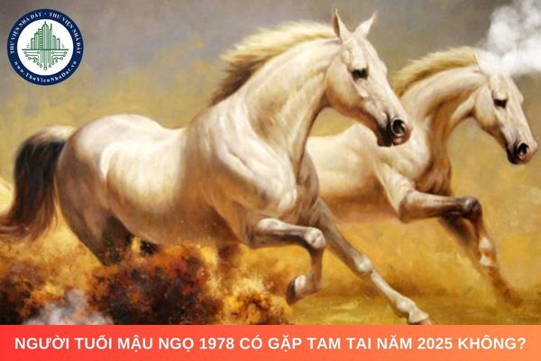 Người tuổi Mậu Ngọ 1978 có gặp Tam Tai năm 2025 không?