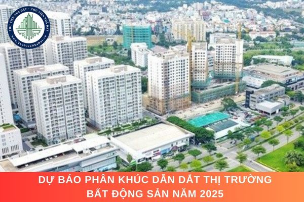 Dự báo phân khúc dẫn dắt thị trường bất động sản năm 2025