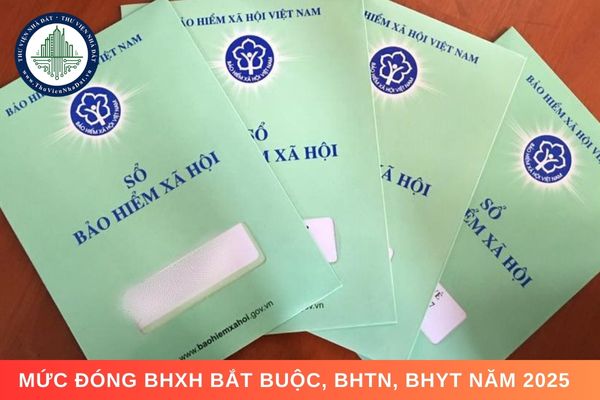 Mức đóng BHXH bắt buộc, BHTN, BHYT năm 2025