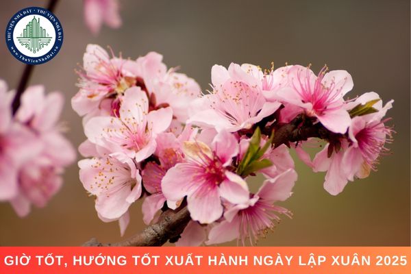 Giờ tốt hướng tốt xuất hành ngày Lập Xuân 2025