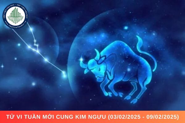 Tử vi tuần mới cung Kim Ngưu (03/02/2025 - 09/02/2025)