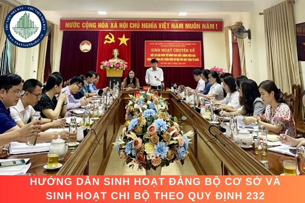 Hướng dẫn sinh hoạt đảng bộ cơ sở và sinh hoạt chi bộ theo Quy định 232