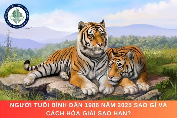 Người tuổi Bính Dần 1986 năm 2025 sao gì và cách hóa giải sao hạn?