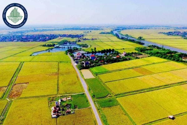 1 sào đất bằng bao nhiêu m2? 1 sào đất bằng bao nhiêu ha? Kinh nghiệm cần biết khi mua đất sào
