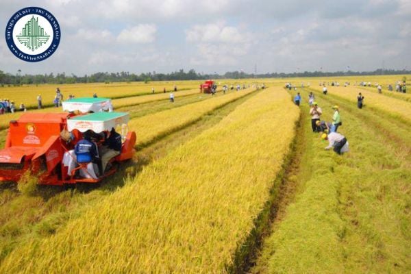 Dự thảo Thông tư sửa đổi 4 Thông tư về thuế sử dụng đất nông nghiệp