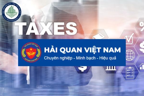 Hướng dẫn khai báo giảm thuế GTGT theo Nghị quyết 2024 trên hệ thống VNACCS/VCIS