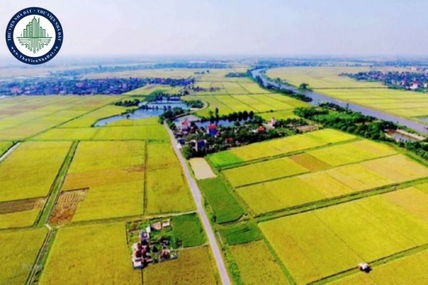 Tải file Thông tư 59/2025/TT-BTC sửa đổi các Thông tư về thuế sử dụng đất nông nghiệp 