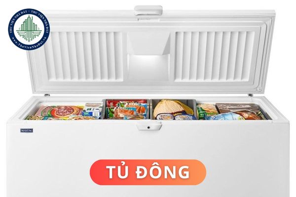 Cấu tạo và nguyên lý hoạt động của tủ đông? Ưu và nhược điểm của tủ đông là gì?