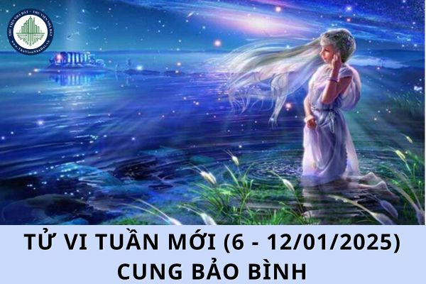 Tử vi tuần mới (6 - 12/01/2025) cung Bảo Bình, cung Bảo Bình cần lưu ý điều gì trong tuần này?