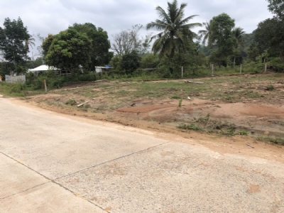 Bán nhanh lô đất ở 2000m2 mặt tiền, ngay đầu đường Cây Thông Trong, Phú Quốc, giá12,5 tỷ