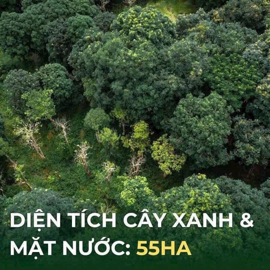 Cơ Hội Đầu Tư Mua Bán Bất Động Sản Khu Nghỉ Dưỡng Eco Retreat 300m2 Tại Nguyễn Hữu Trí, Bến Lức, Long An Với Tiện Ích Độc Đáo