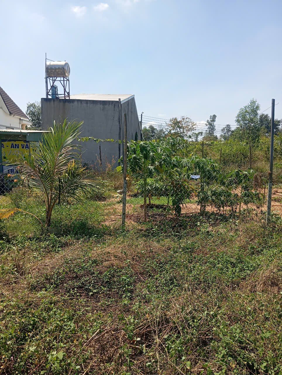 Chính chủ bán lô đất đấu giá Cự Khối, giá rẻ nhất thị trường đầu tư