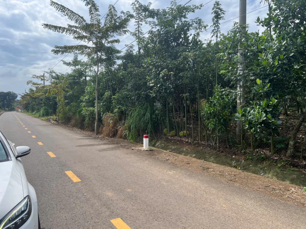 Bán đất 833 m2 tại xã Lộc Đức huyện Bảo Lâm Lâm Đồng đã có sổ đỏ