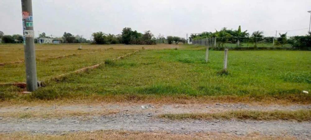 Cơ hội vàng sở hữu lô đất đấu giá đẹp nhất Thụy Lâm, Hà Nội giá chỉ 7x tr/m2