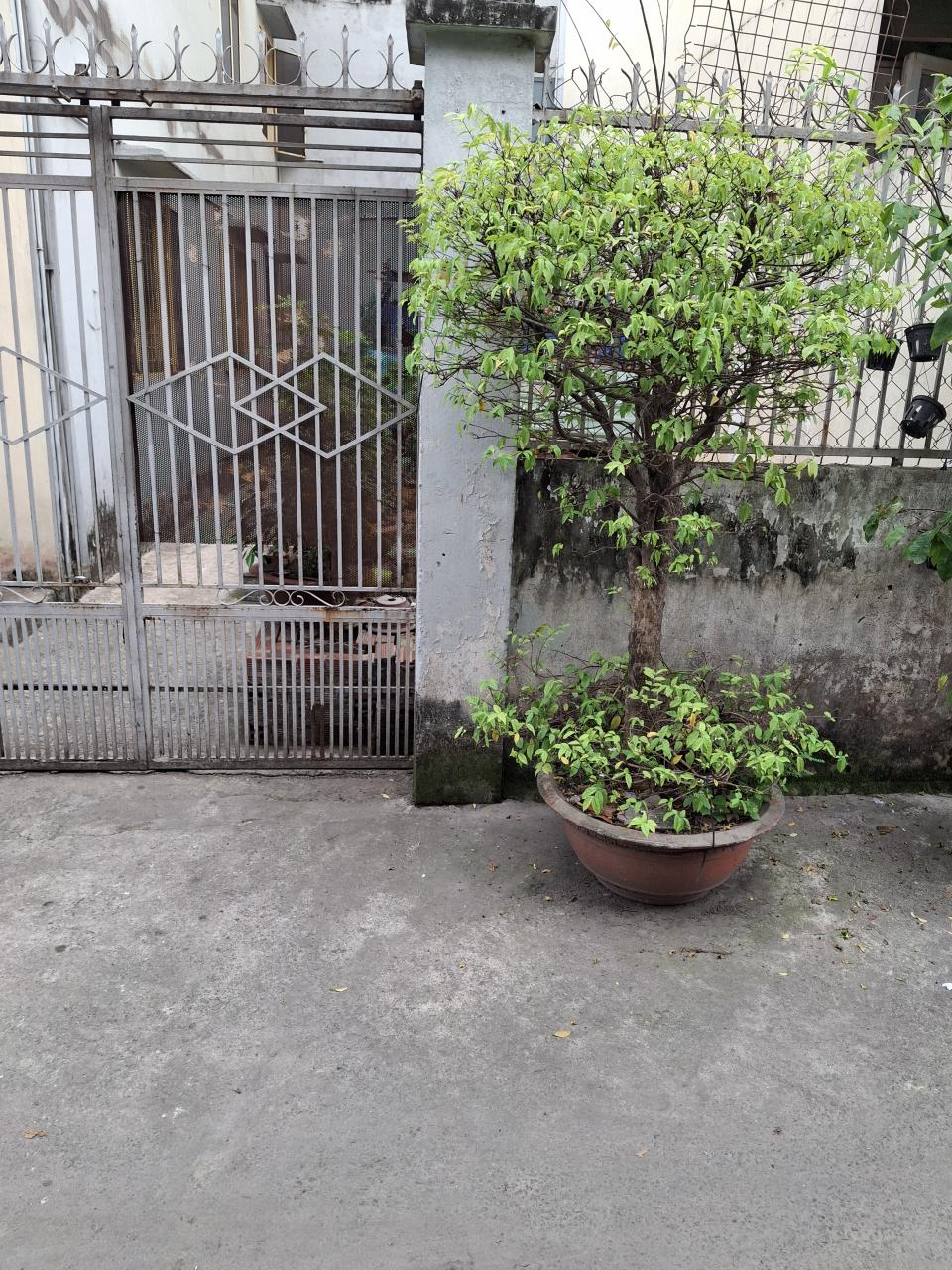 Bán đất tại Lê Đức Thọ 50m2 Quận Gò Vấp Hướng TB giá chỉ 3,75 tỷ