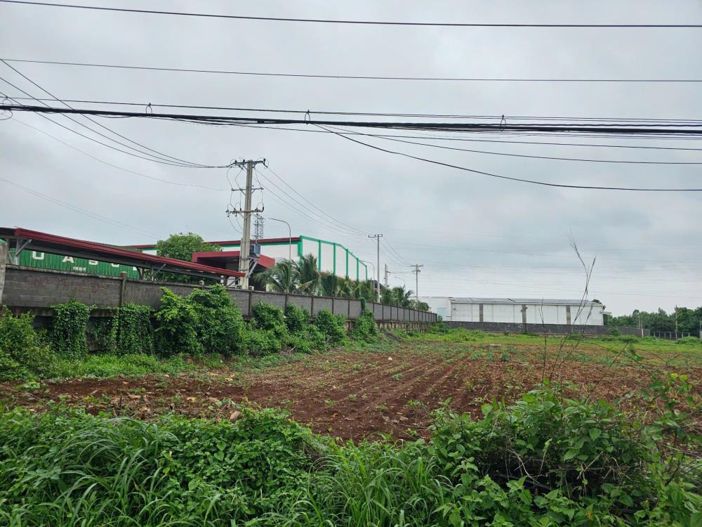 Bán đất kinh doanh 50,6m x 40m Lê Hồng Phong, Thị Trấn Ngãi Giao, Châu Đức, giá tốt