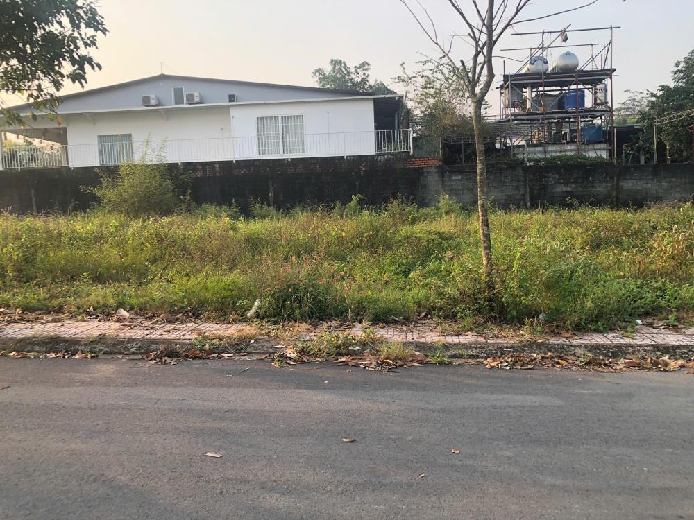 Bán đất có thổ cư 181m2 tại đường ven sông Vàm Cỏ, Phước Trạch, Gò Dầu, Tây Ninh