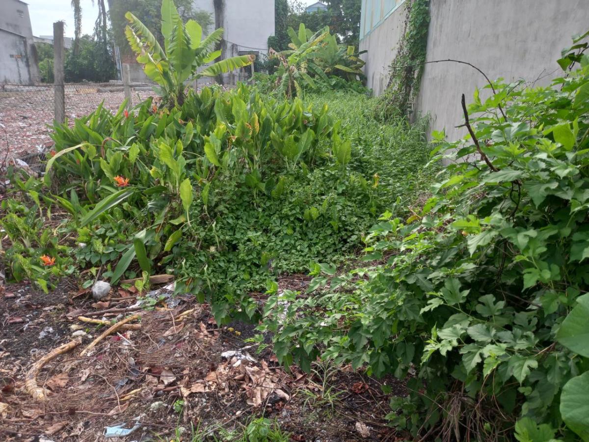 Bán đất vườn Lài 246m2 7x35m tại Phường An Phú Đông Quận 12 Hồ Chí Minh giá hấp dẫn