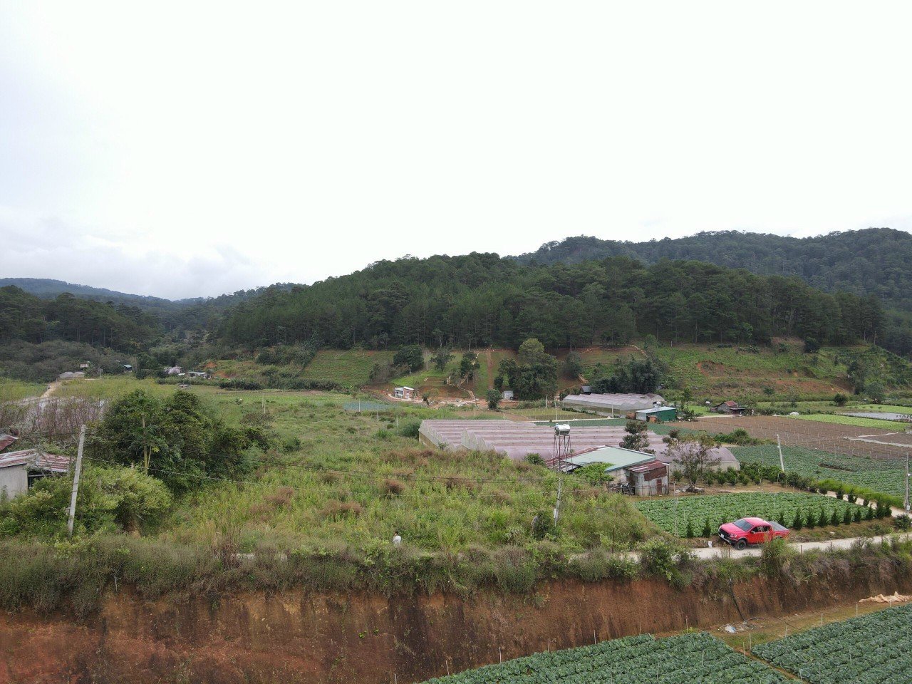 Bán đất 500m² đường Mimosa, Phường 10, Đà Lạt, tiện làm homestay