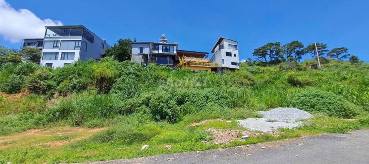Bán đất 350m2 thổ cư đường Phường 1, Đà Lạt, Lâm Đồng có view rừng thông