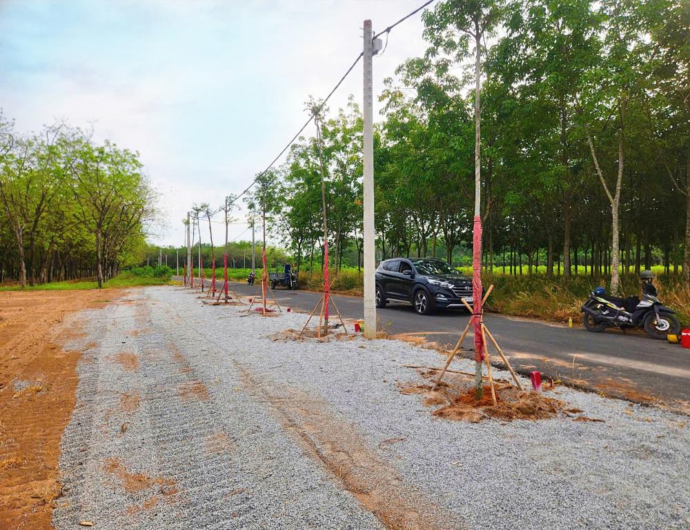 Cần bán lô đất sổ sẵn cách chợ chánh lưu 800m, liền kề khu công nghiệp