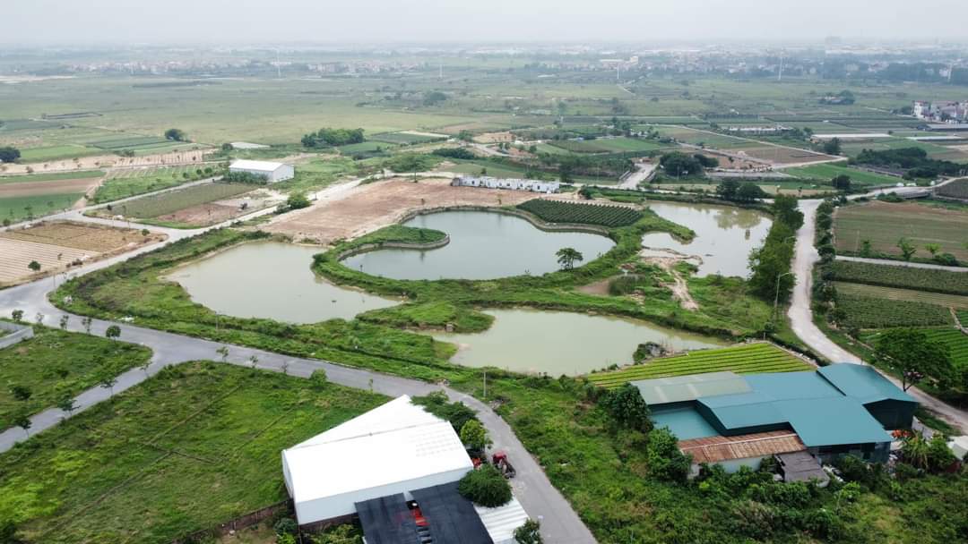 Cần bán đất nền dự án Cienco5 Mê Linh 375m2 mặt hồ giá thỏa thuận