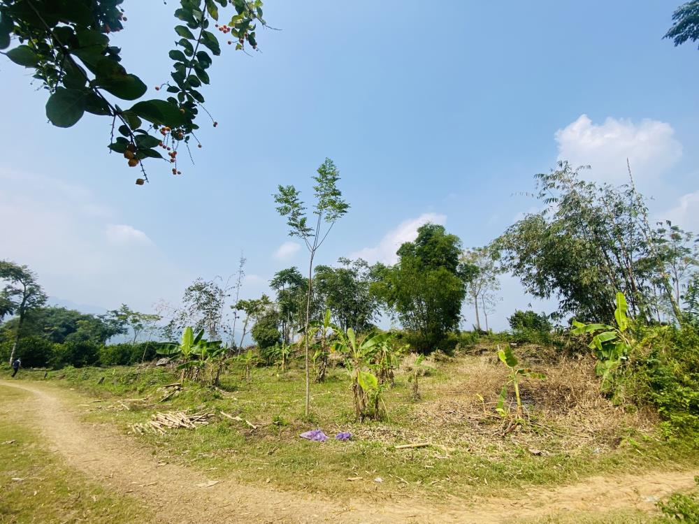 Diện tích 4000m2 (200m2 vườn) tớn thưa, Phú Vinh, Tân Lạc - Hoà Bình