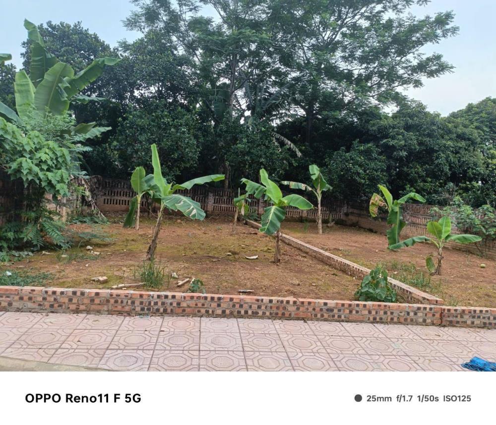 Chỉnh chủ cần bán đất thổ cư tại thôn yên thái, xã đông yên, quốc oai, hà nội.