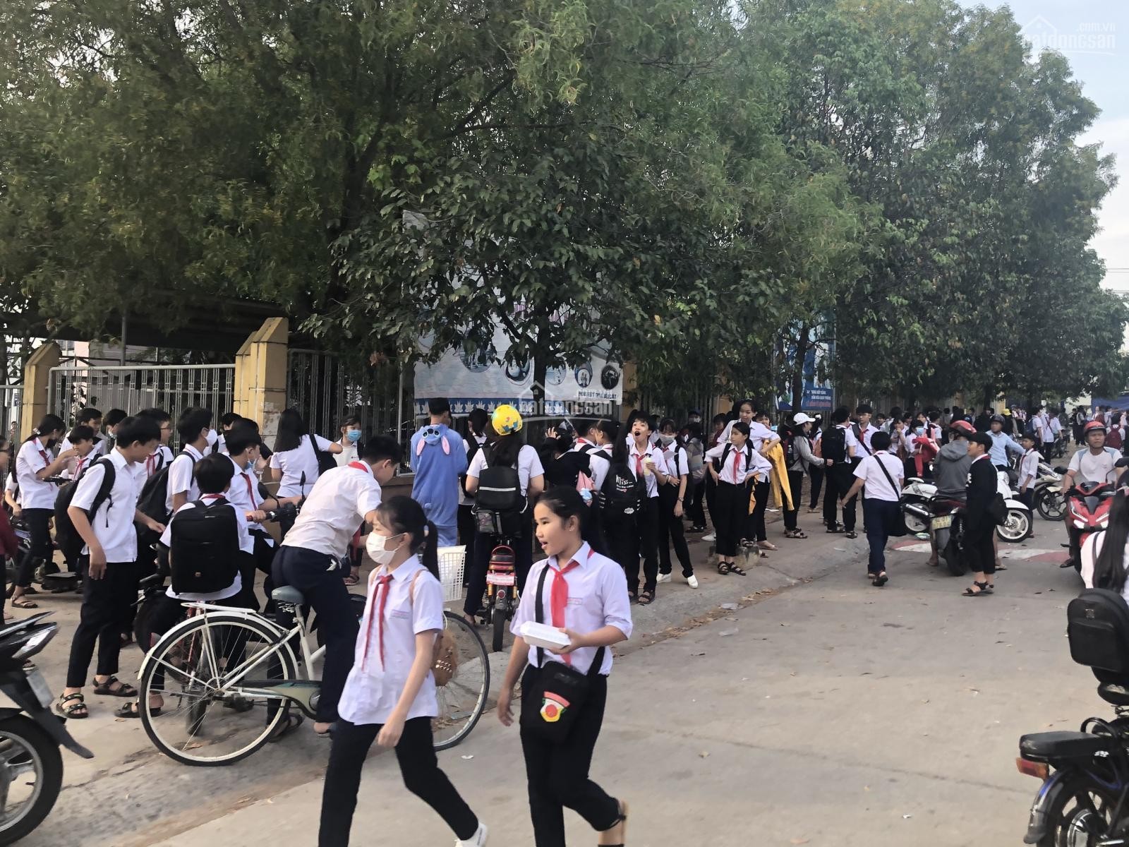 Bán đất 1890m2 sổ hồng riêng gần công nghiệp và chợ Dĩ An Bình Dương giá 550 triệu