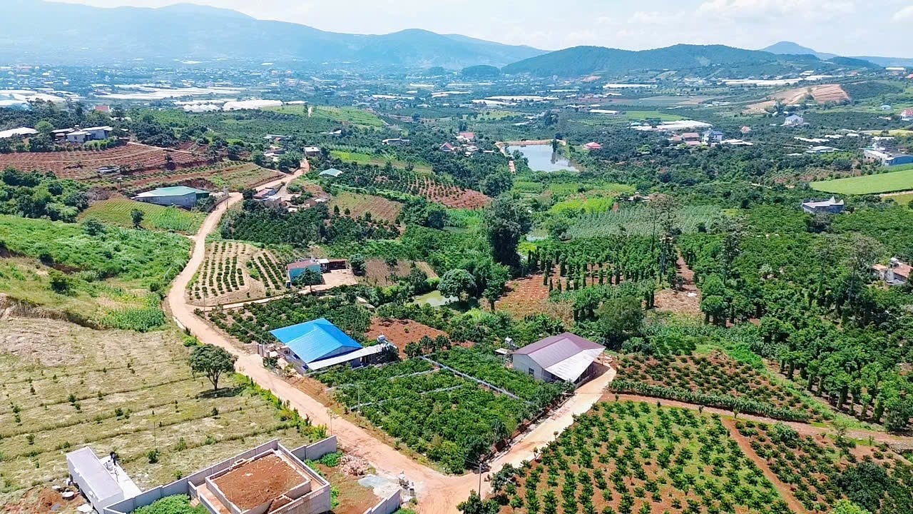 Bán đất đô thị 354m2 tại Thị Trấn Nam Ban Lâm Hà giá 1,050,000,000 VNĐ