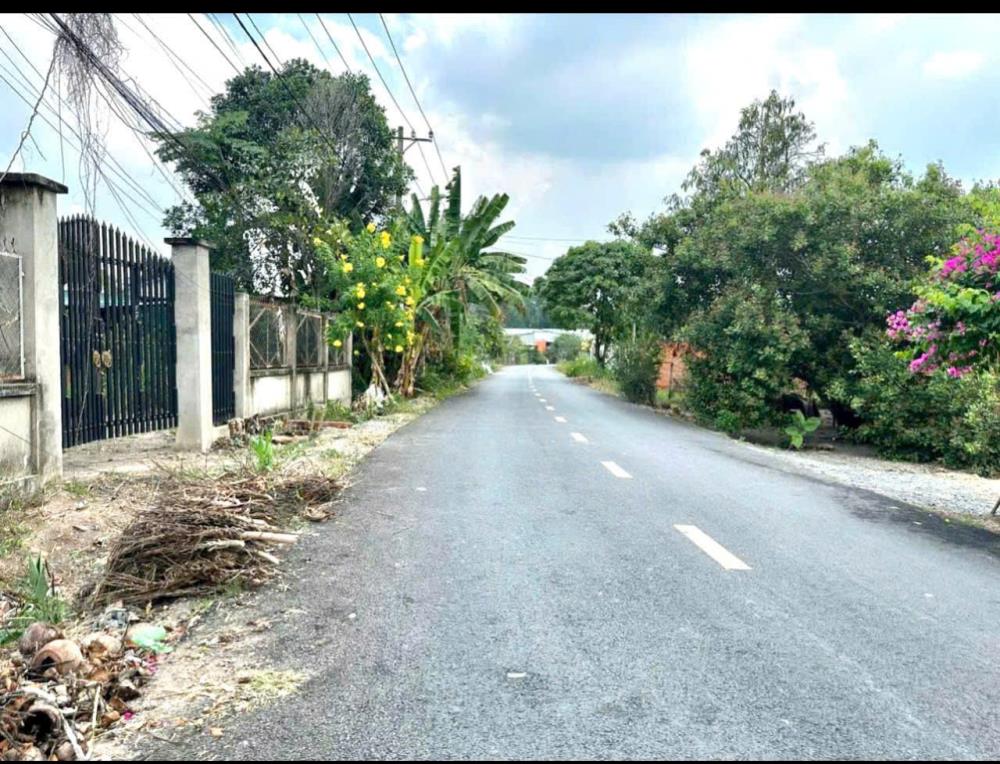 thuviennhadat.vn