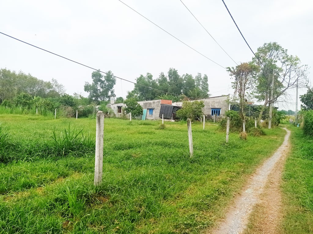 Bán đất 1/ đường 531 30x43m Nhuận Đức Củ Chi 90m2 thổ cư