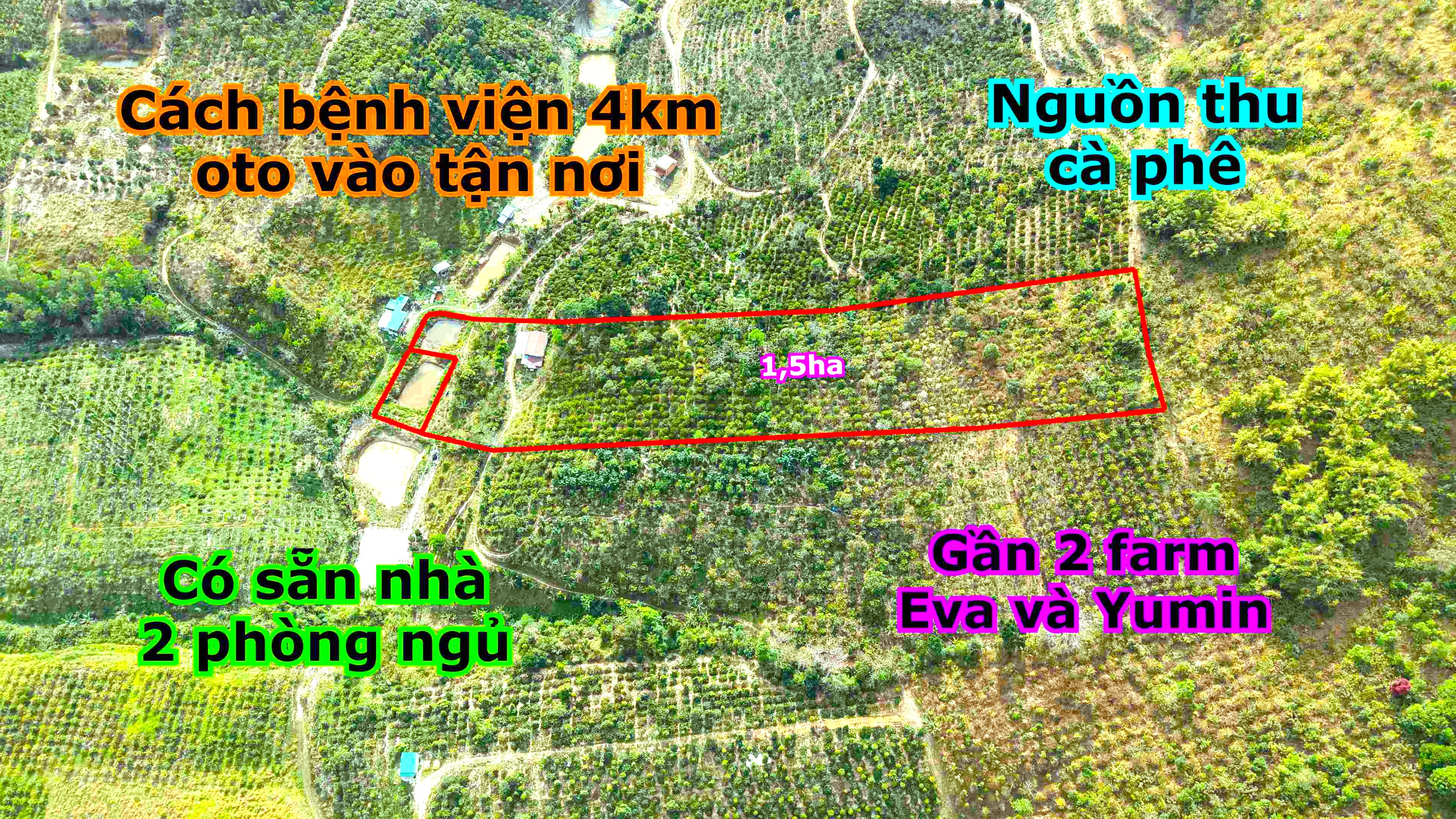 Bán đất rẫy 1,5ha tại Đắk Nia, Gia Nghĩa, Đắk Nông, giá chỉ 1,9 tỷ